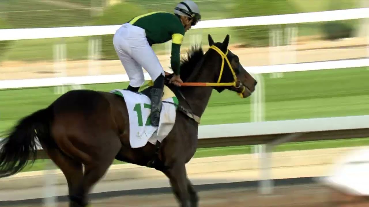 The Saudi Cup 2026 (Fri 13th Feb) Race 1 - FILLIES MILE - Race Replay (EN)