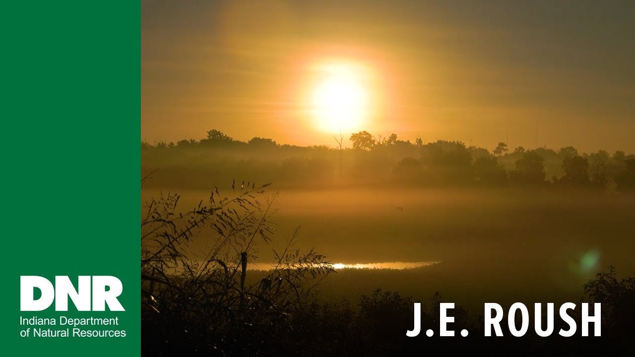 Explore J.E. Roush Fish & Wildlife Area