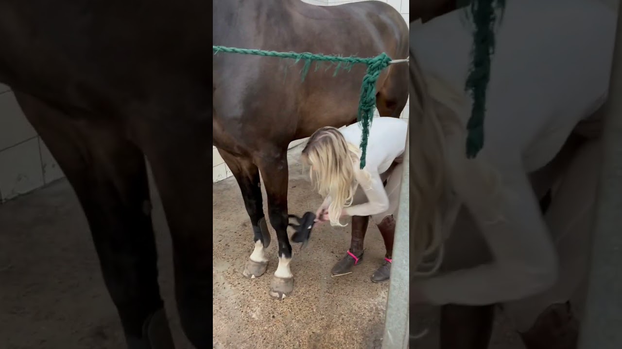 Time for a bath 🛁🐴 #equestrian #horse #horselover #horseriding