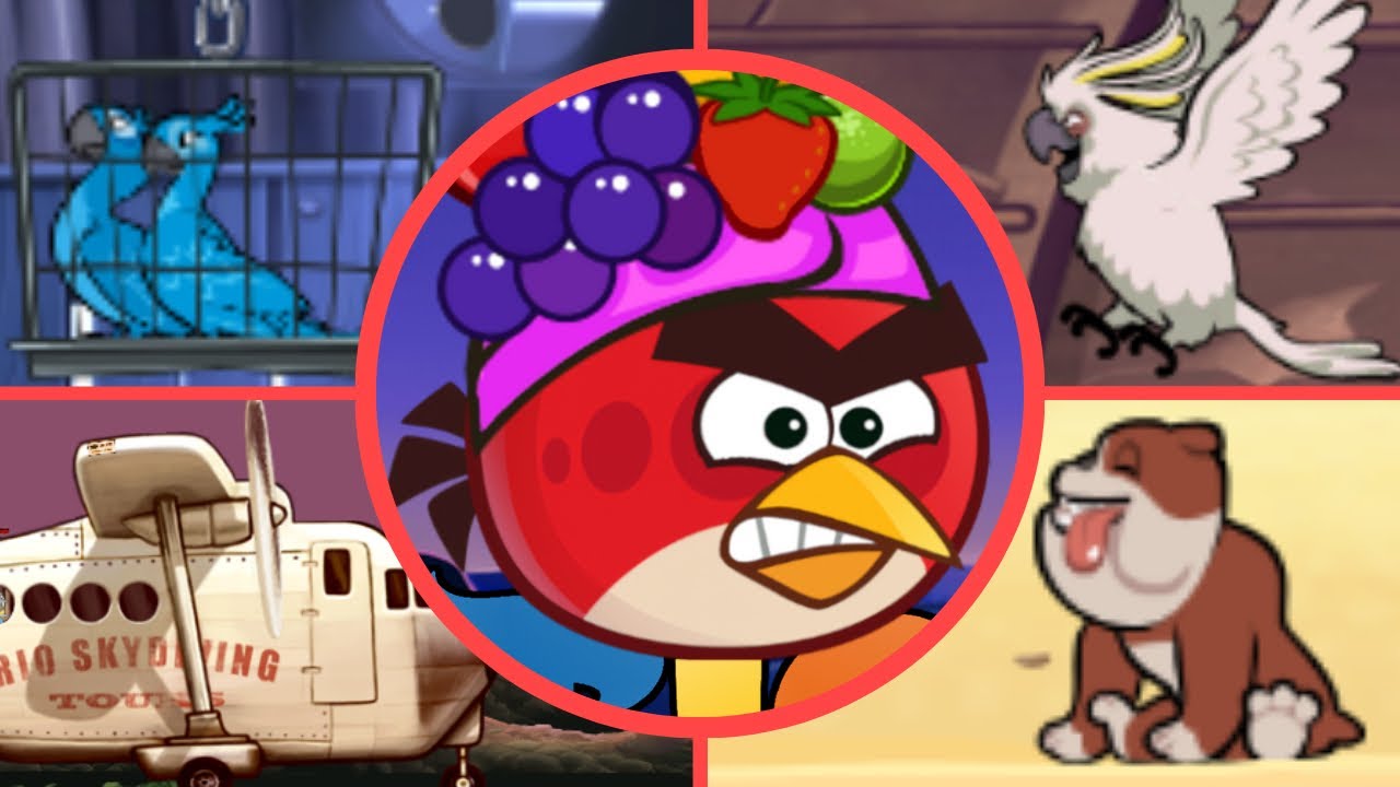Angry Birds Rio Rehydrated - All Bosses (Luta dos Bosses)
