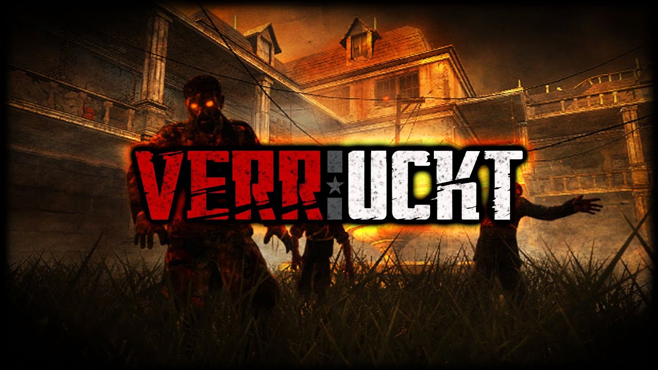 ZOMBIE ASYLUM, CRAZY ZOMBIE SPRINTERS | Call of Duty World at War | Zombie Verruckt