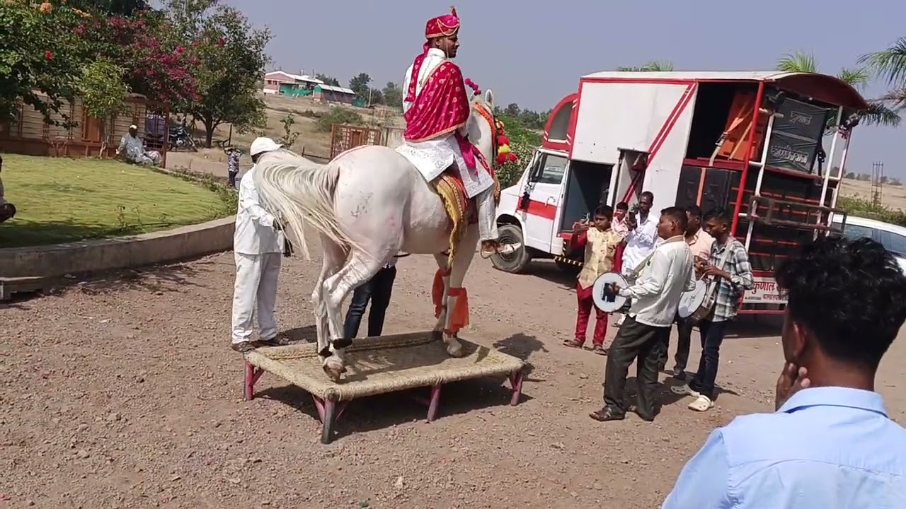 Dancing Horse