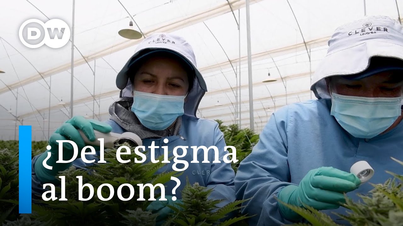 Cannabis medicinal en Colombia