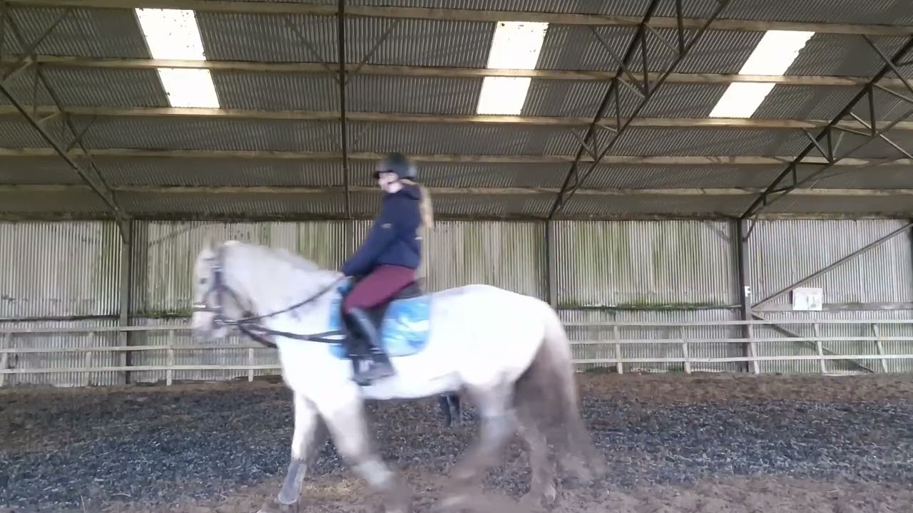 Riding on the lunge part 2