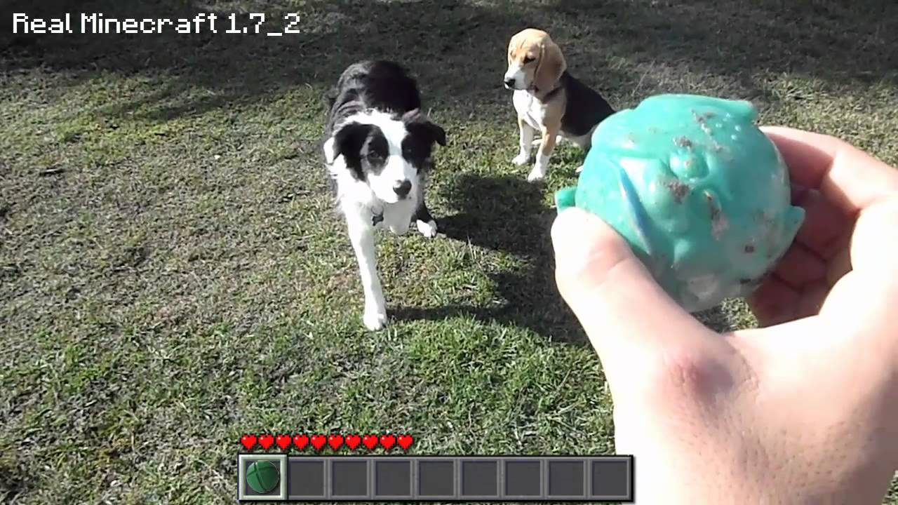 Real Life Minecraft - PSYCHO PUPPIES (Realistic Minecraft)