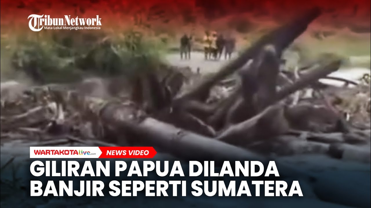Giliran Papua Dilanda Banjir Seperti Sumatera, Kayu Gelondongan Runtuhkan Jembatan