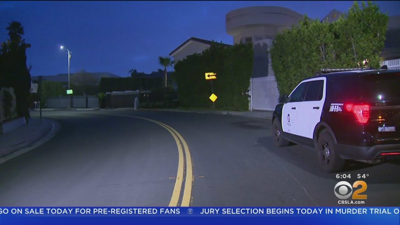 Man Shot To Death In Hollywood Hills Home