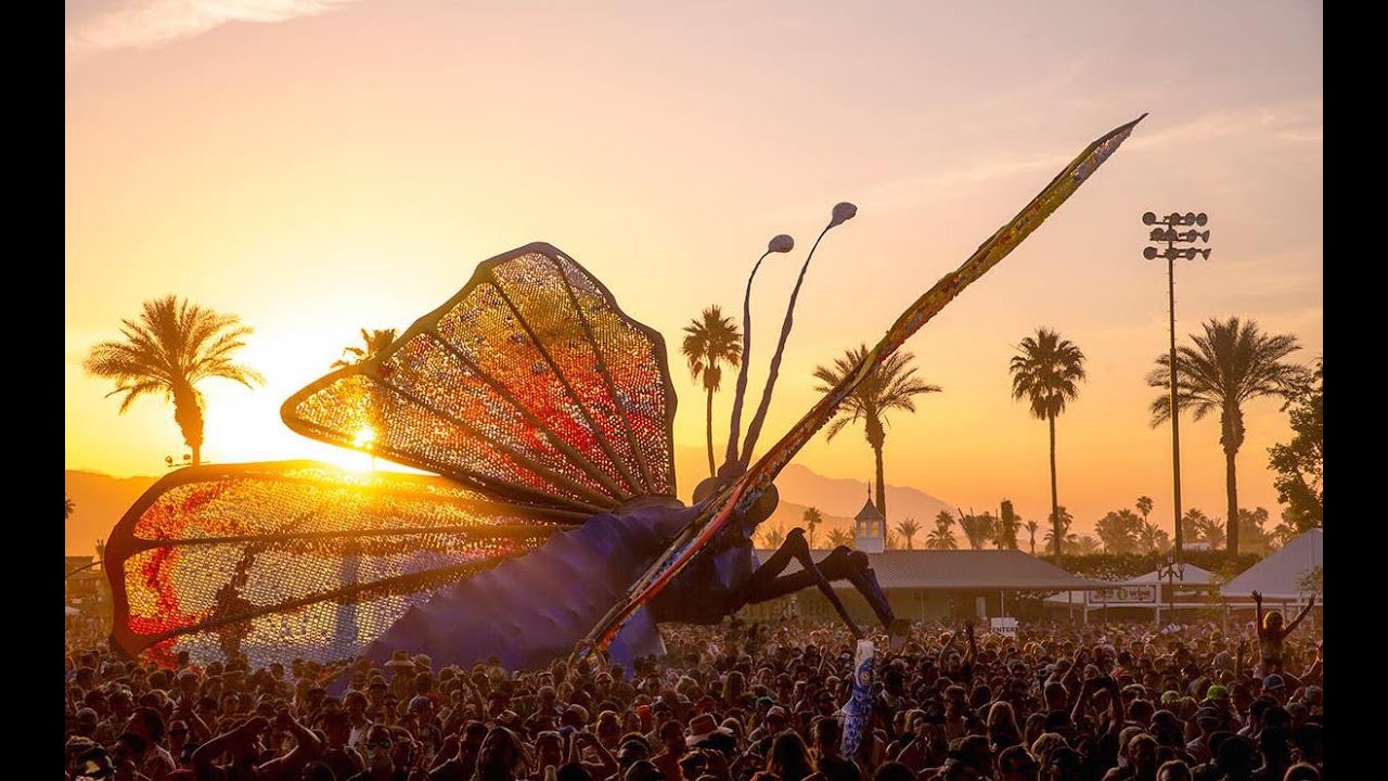Coachella 2015: Thank You
