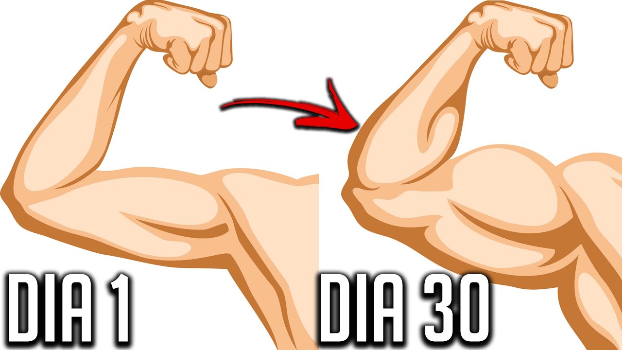 Ejercicios para BRAZOS en Casa - Rutina Biceps y Triceps 15 min