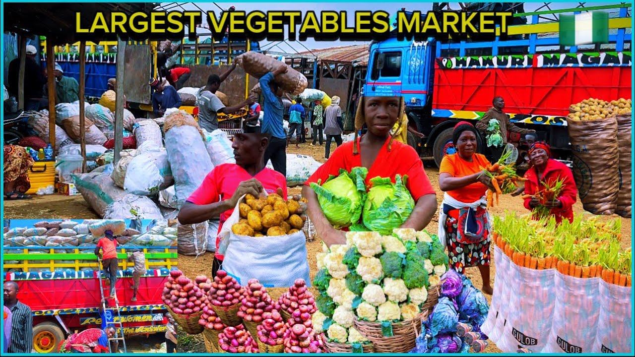 Biggest Vegetable Market in Jos, Plateau Nigeria 🇳🇬 
