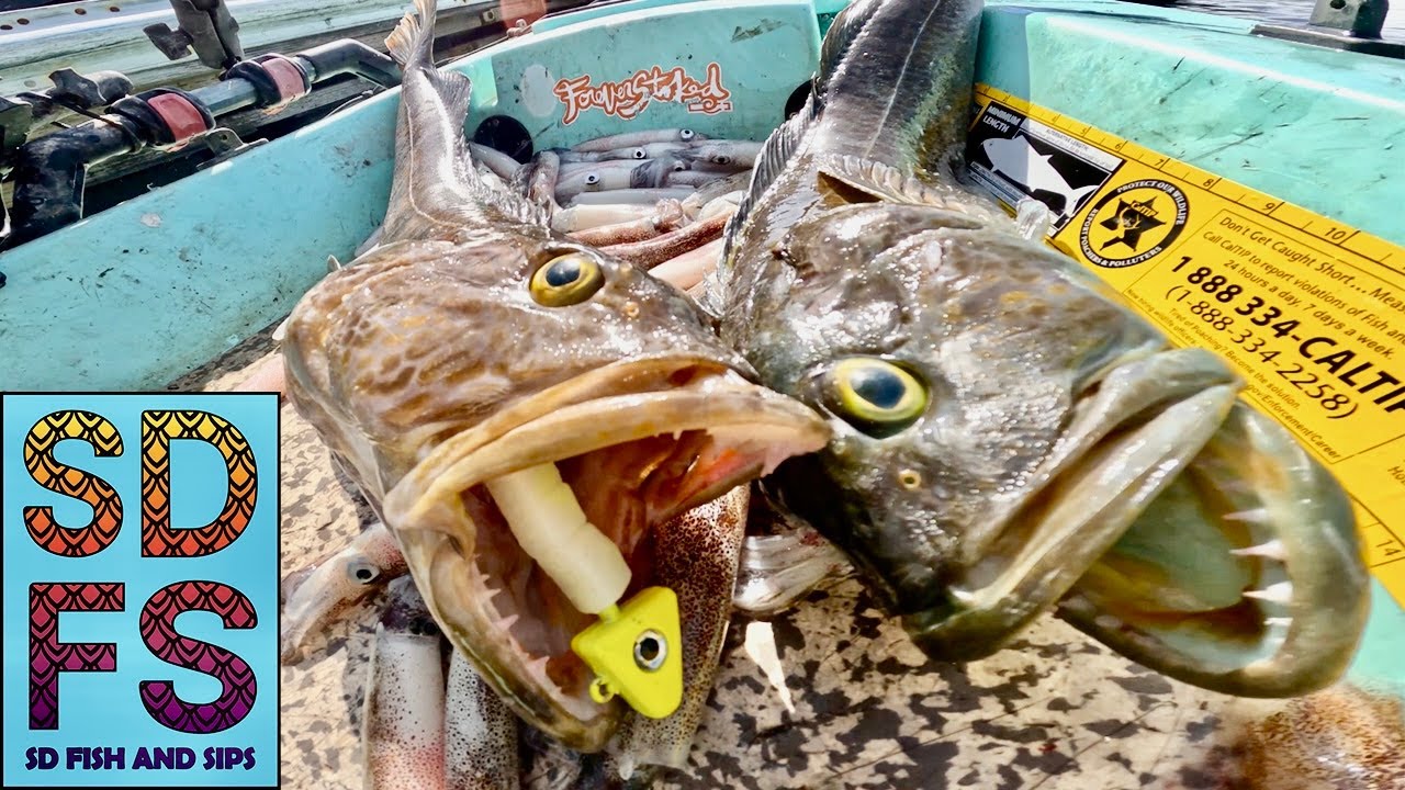 MONTEREY BAY SQUID & Lingcod Fishing | Solo Skiff Central California | May 2025 SDFS