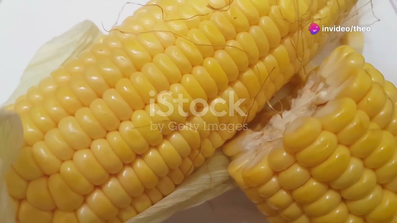7 Mind-Blowing Facts About Corn You Didn't Know!