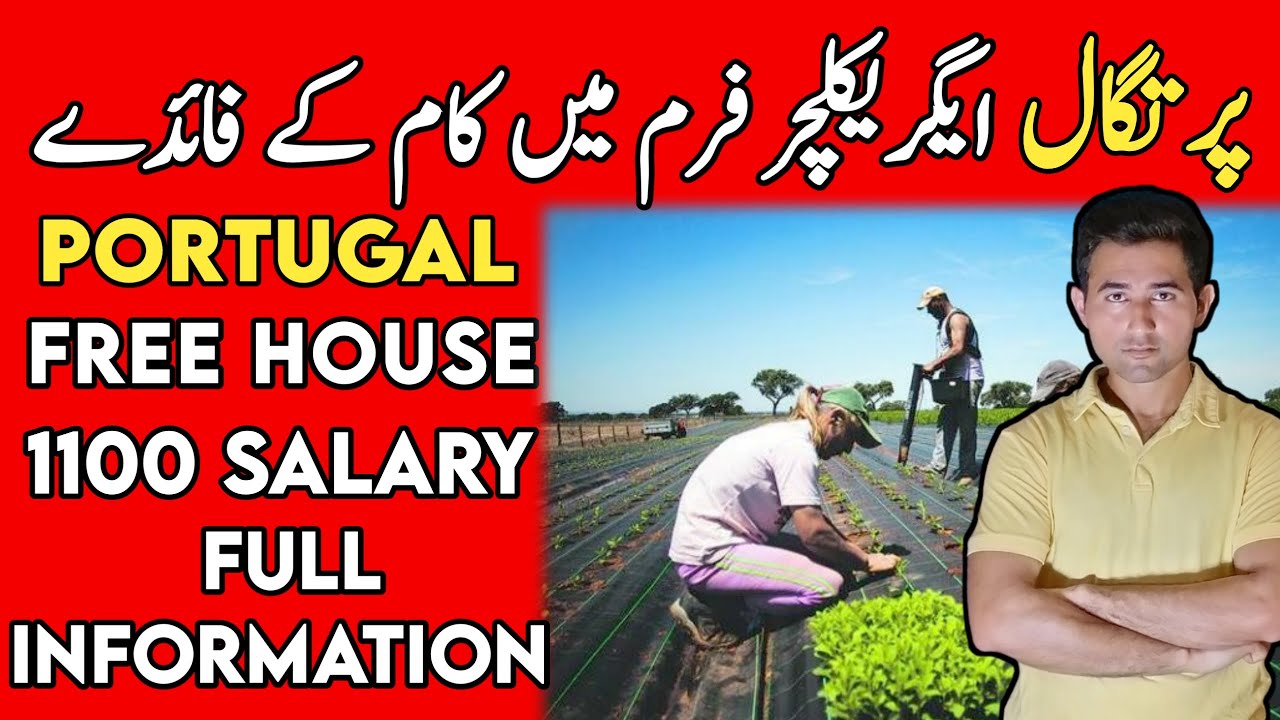 Agriculture Jobs In Portugal | AdeelJameelGlobal