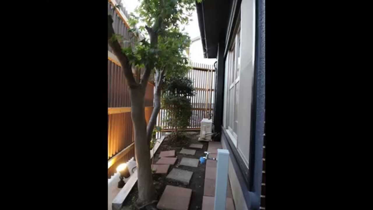練馬区　シェアハウス　Mother TREE（女性限定）