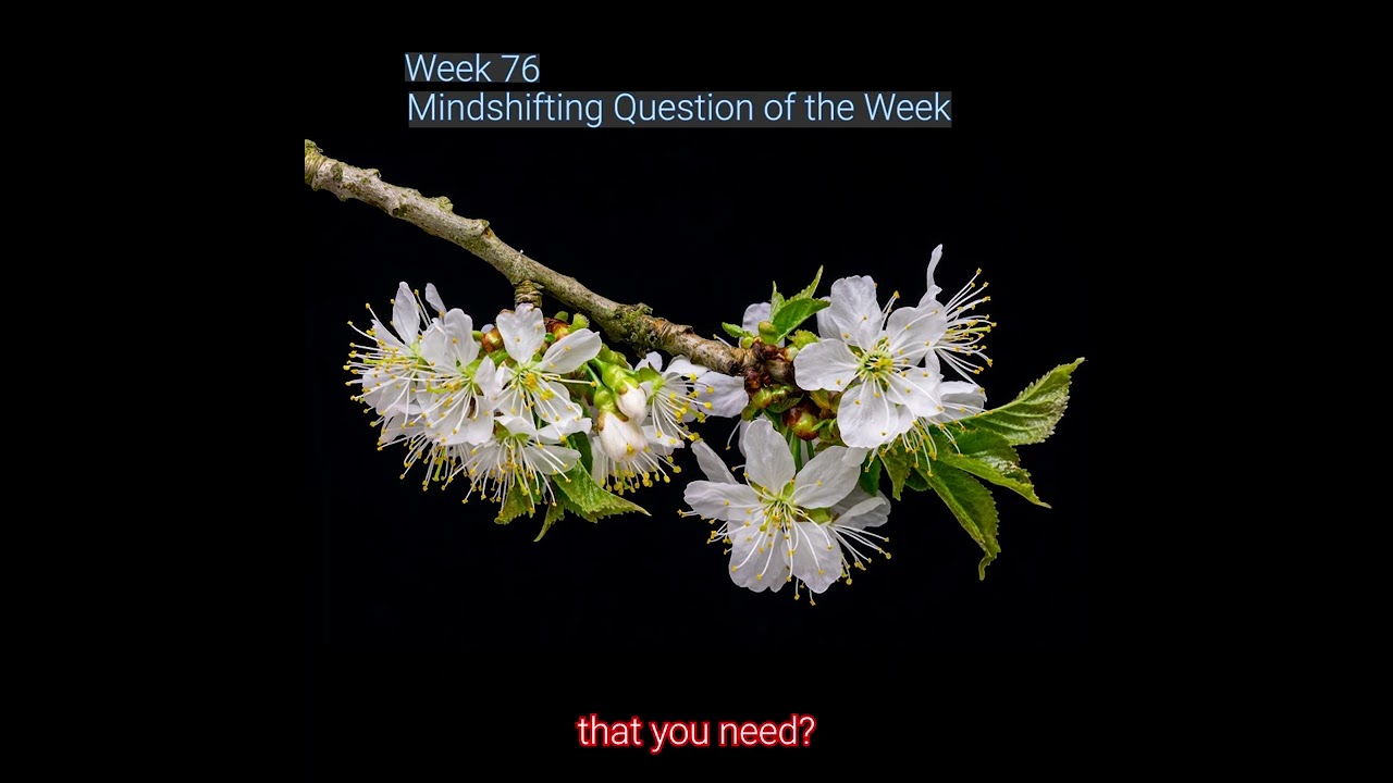 Mindshifting Question76   Be lead