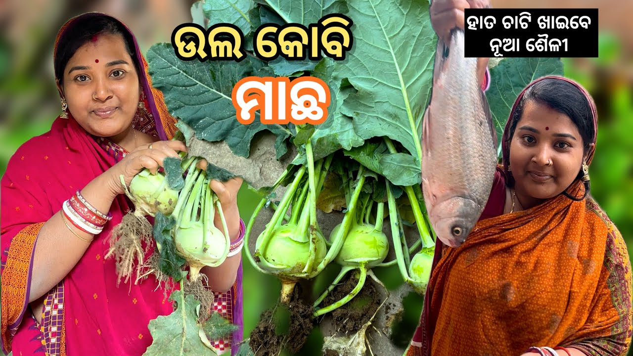 ଓଲ କୋବି ମାଛ ଏମତି ପ୍ରସ୍ତୁତ କରନ୍ତୁ ହାତ ଚାଟି ଖାଇବେ |Ganth Kobi Recipe l Ola Fish kobi Unique Recipe 