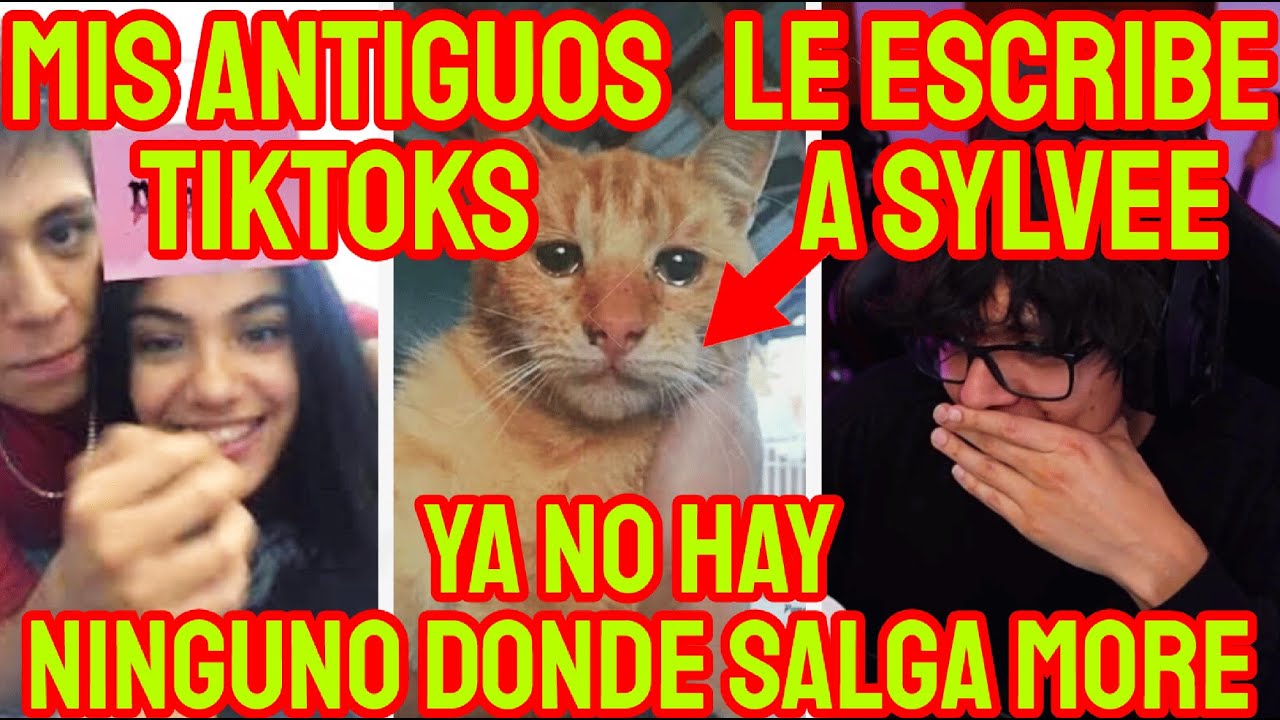 DAARICK BORRA SUS TIKTOKS CON MORE Y MAS POR MIEDO, ENVIA A SYLVEE UN GATO, ELLA RESPONDE, COMUNIDAD