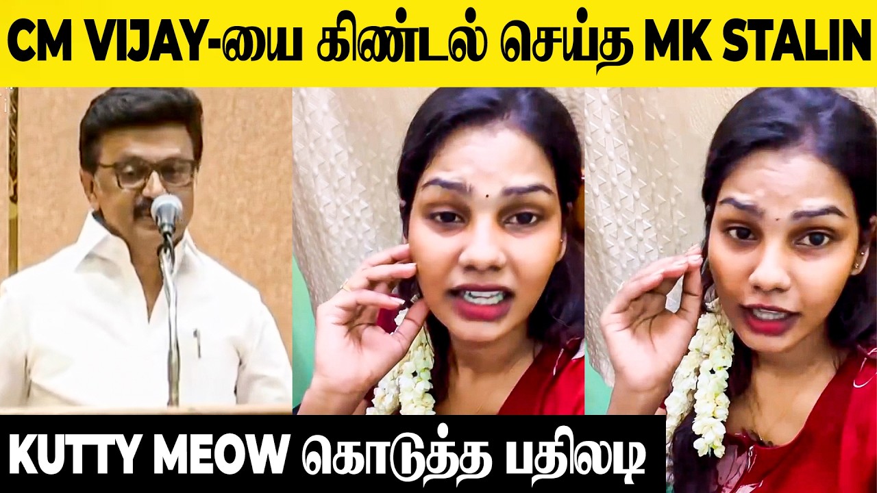 MK Stalin Insulted Cm Vijay 😡 Vj Kuttyma Angry Reply | Thalapathy Vijay | Tvk | Recent Speech | Dmk