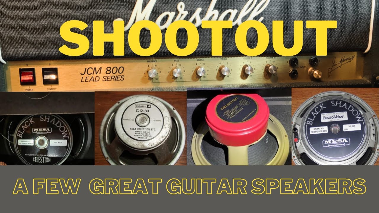 Marshall JCM 800 through EVM 12L Mesa, Celestion MC90, Redback, Rola G1280