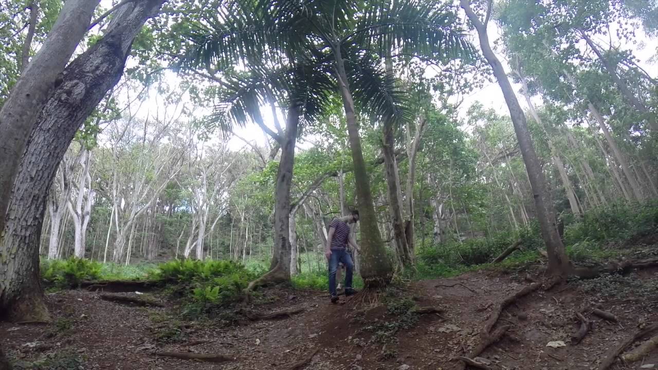 Kauai Eco Wedding Tour