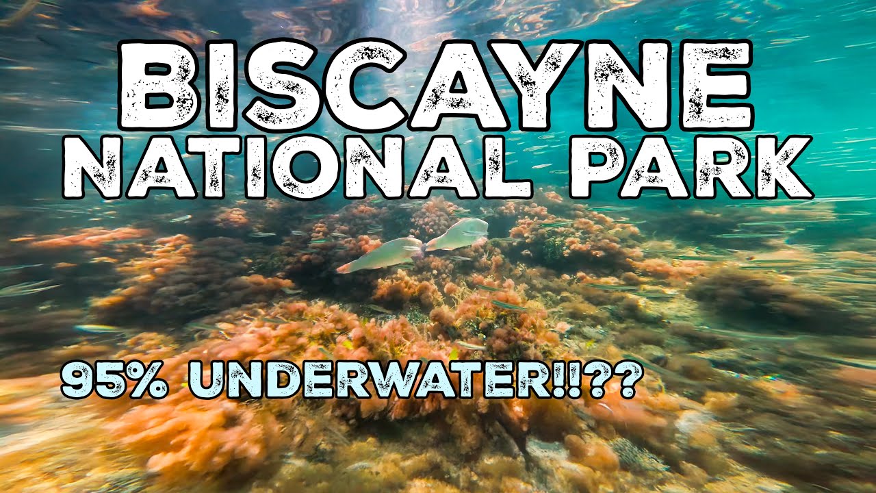 Biscayne National Park Snorkeling & Boat Tour | Mandalay Shipwreck & Boca Chita Key #biscaynebay