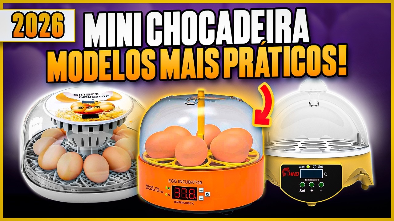 MELHORES MINI CHOCADEIRAS para Comprar em 2025! 3 Modelos Custo Benefício - Mini Incubadora de Ovos