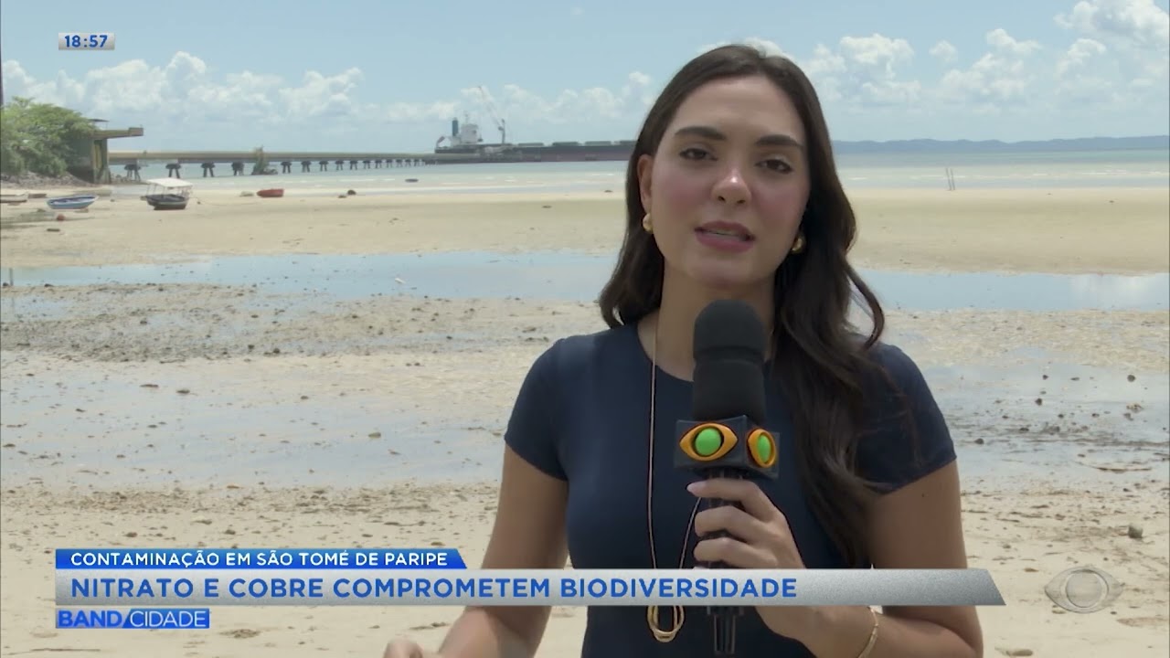 Contaminação em São Tomé de Paripe - Band Cidade