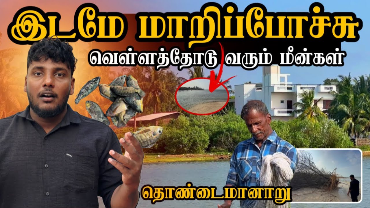 இடமே