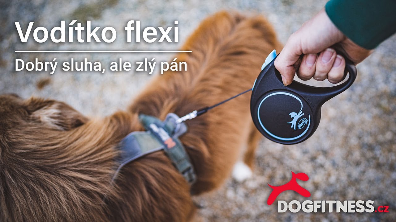 Vodítko FLEXI - Dobrý sluha, ale zlý pán
