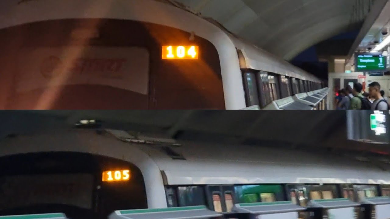 (T104 and T105!) SMRT C151A 509/510 and 561/562 ride on the Tampines ↔ Pasir Ris shuttle