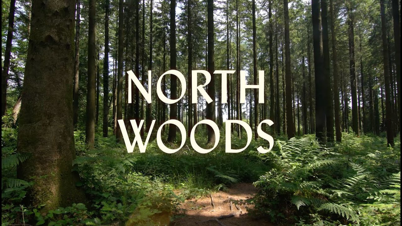Daniel Mason introduces North Woods