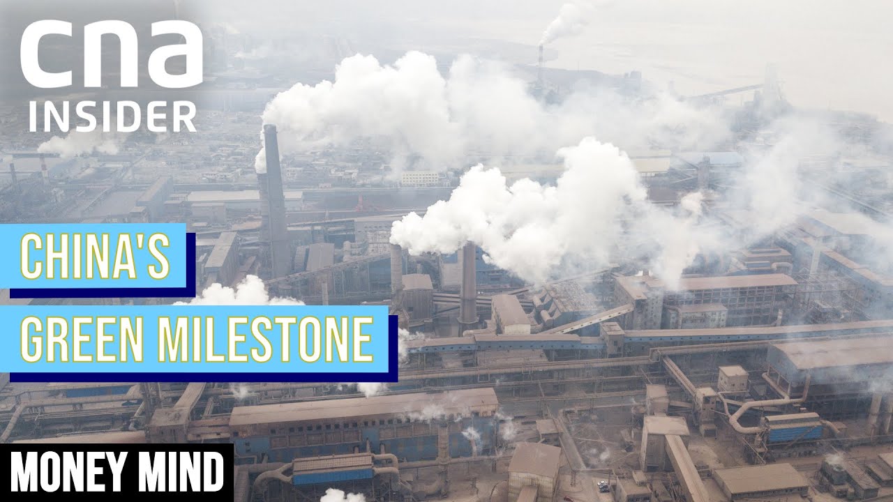 China's New Carbon Trading Market: Impact On Consumers and Investors | Money Mind | ETS