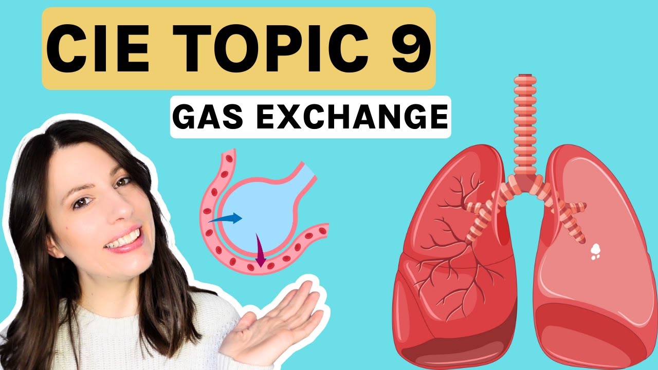 Gas Exchange - ENTIRE TOPIC CIE A-level Biology (Topic 9)| Cambridge International