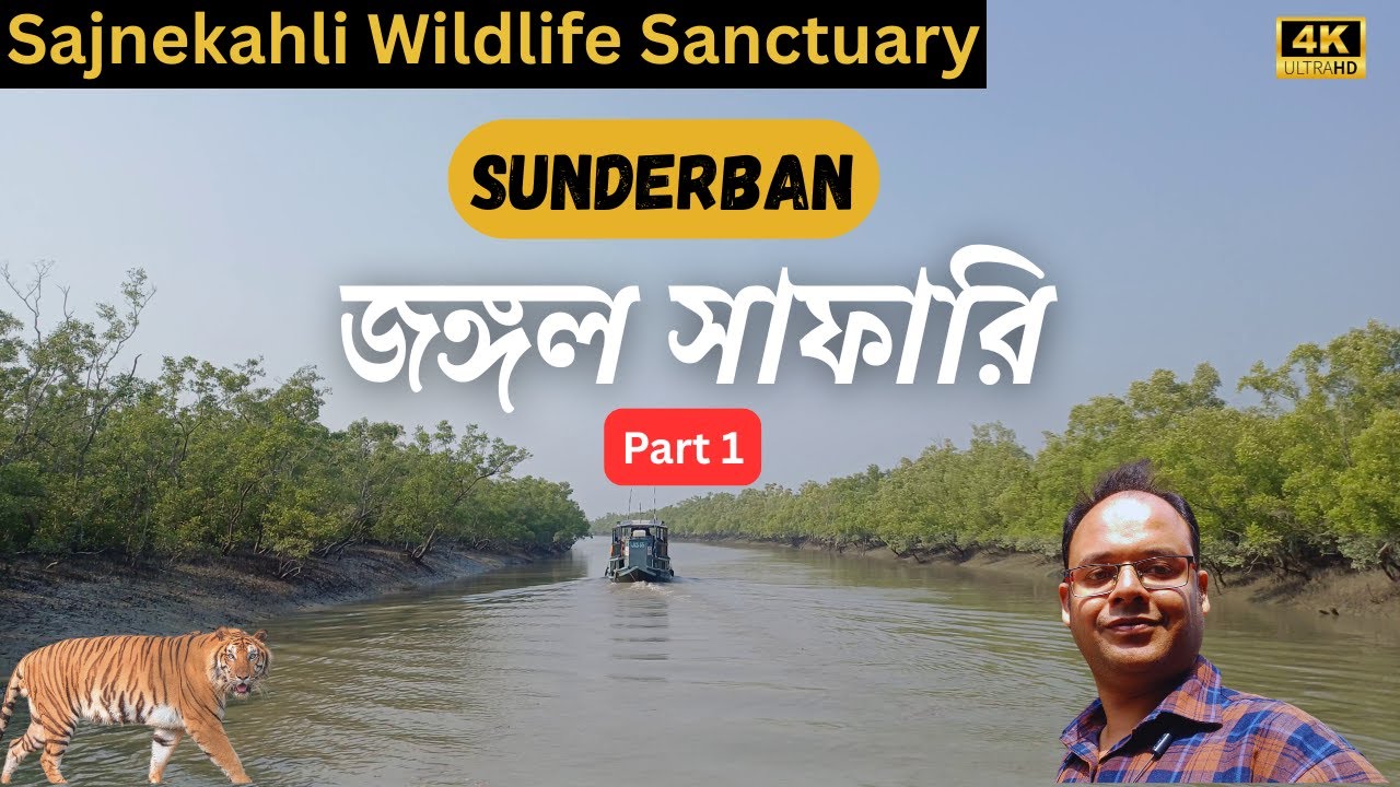সুন্দরবন জঙ্গল সাফারি | Sajnekahli Wildlife Sanctuary | Sunderban National Park | Sunderban Tour