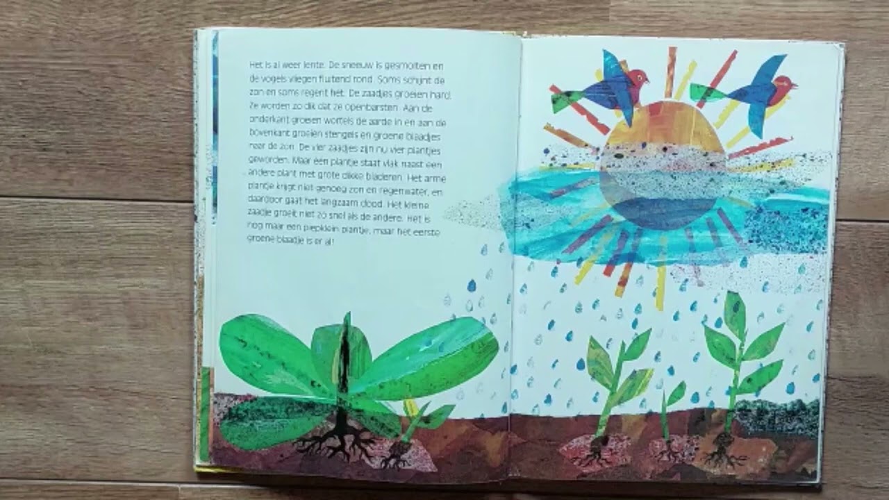 Zaadje in de Wind - Eric Carle