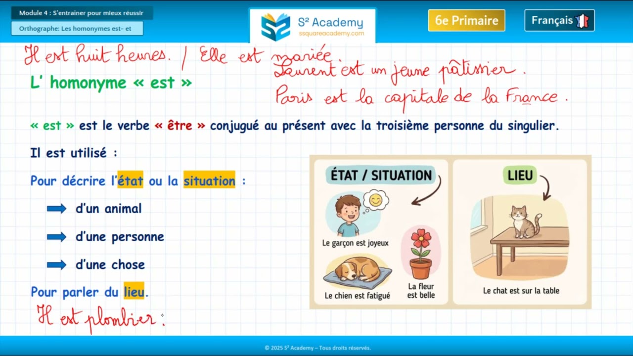 6e année | Français – Module 4 – Orthographe : 3 - L'homonyme « est »