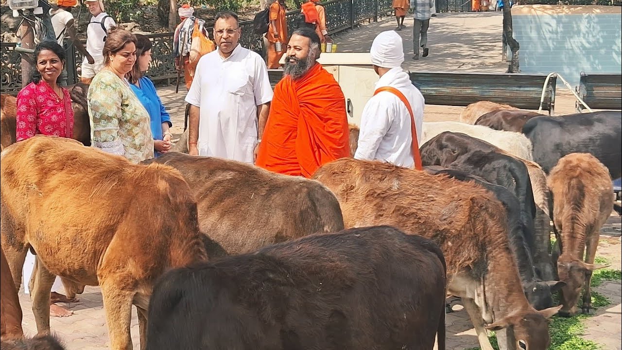 मानस मंथन ||13 march @sadguruamritprakashji