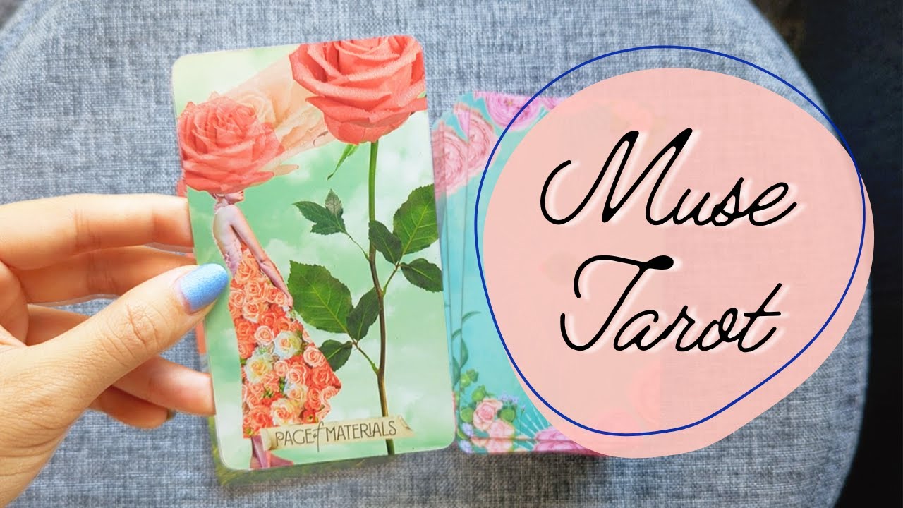 Favorite Cards from the Muse Tarot ⋆˙⟡ Tarot Deck Walkthroughs