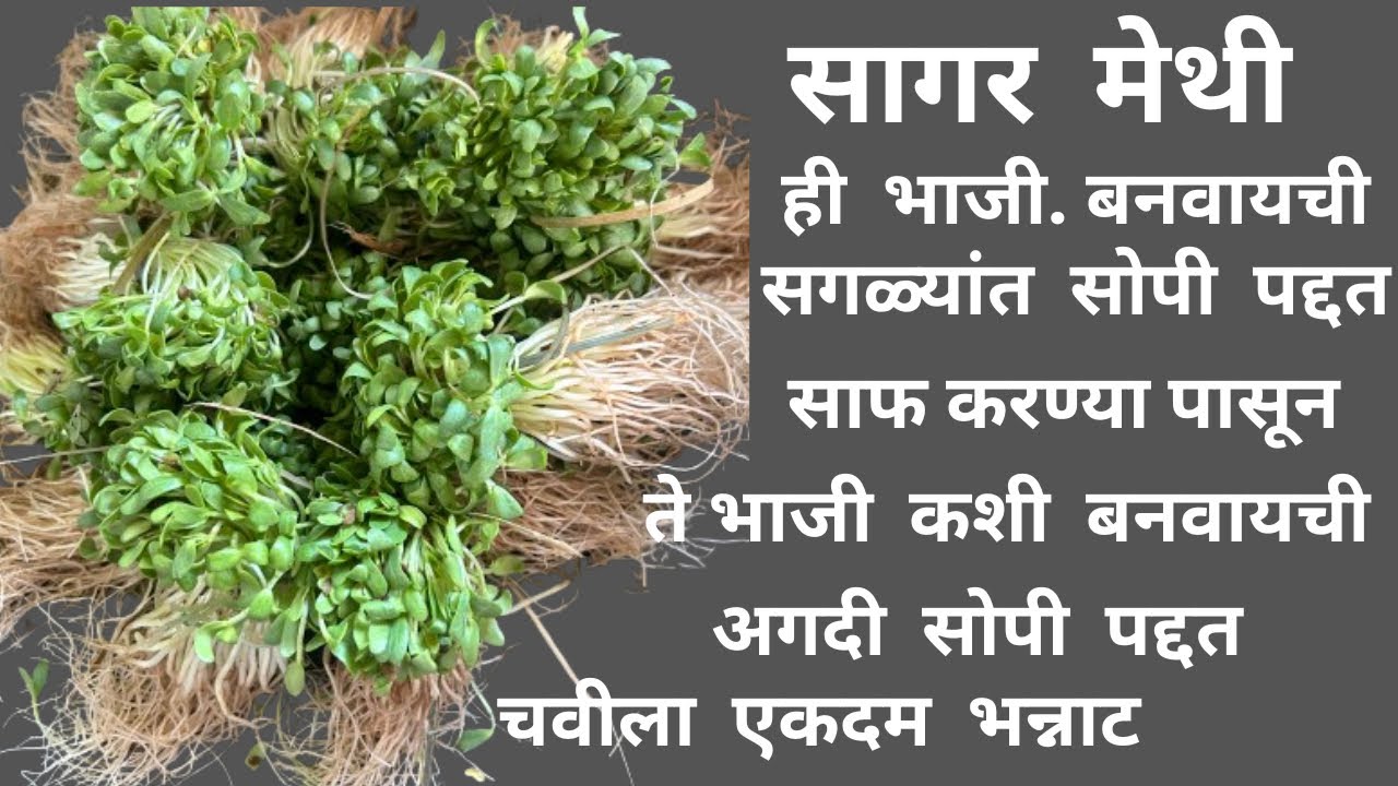 सागर मेथी |ही भाजी बनवायची सगळ्यांत सोपी पद्दत साफ कशी करायची कशी बनवायची| चवीला भन्नाट 