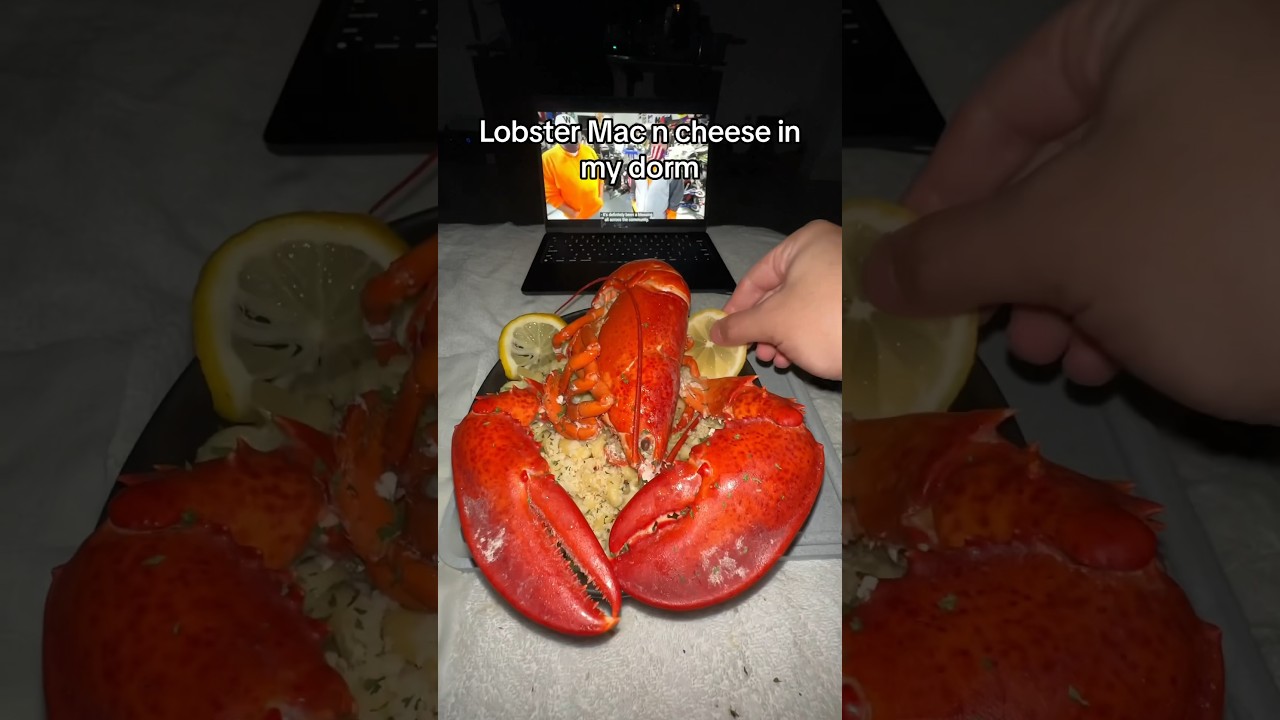 Lobster Mac in my dorm #shorts