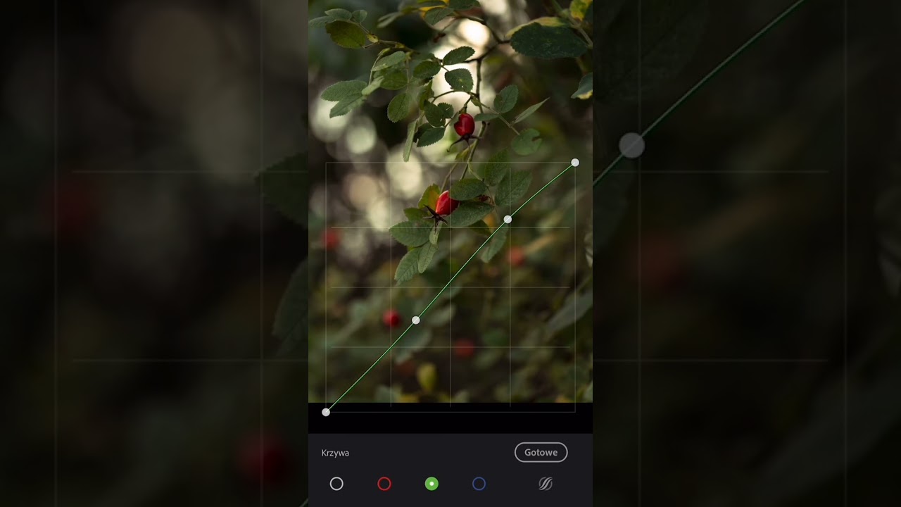 How To The Use curve Lightroom mobile tutorial | cinematic curve in Lightroom mobile tutorial