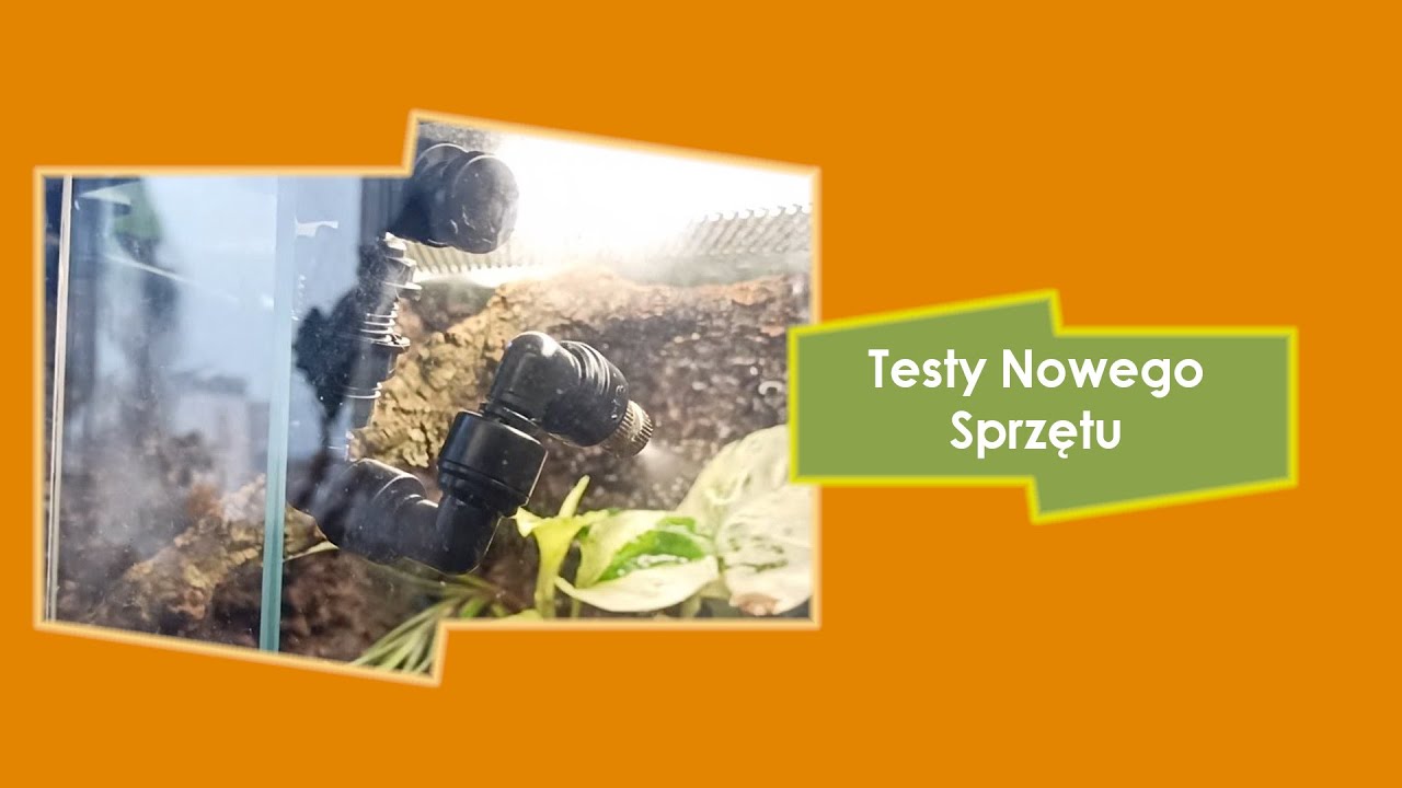 Nowe Terrarium - Testy Sprzętu, Wilgotność, Temperatura