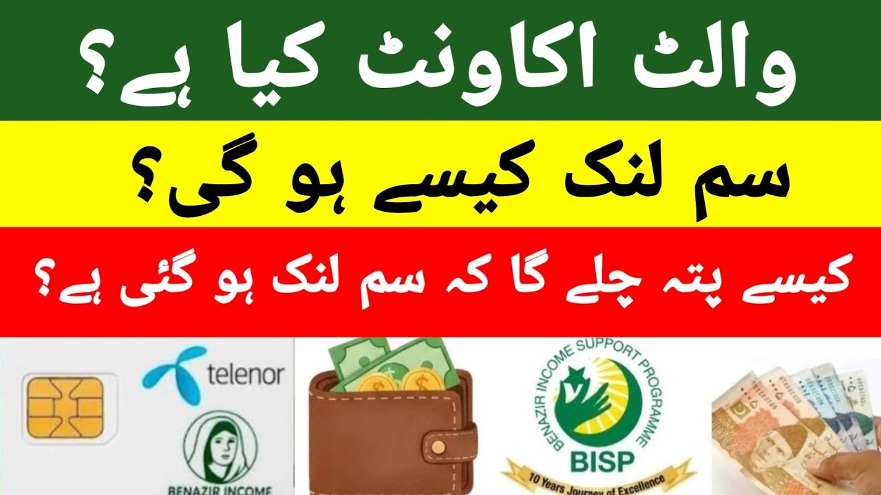 bisp wallet account | bisp sim link | bisp new update today 