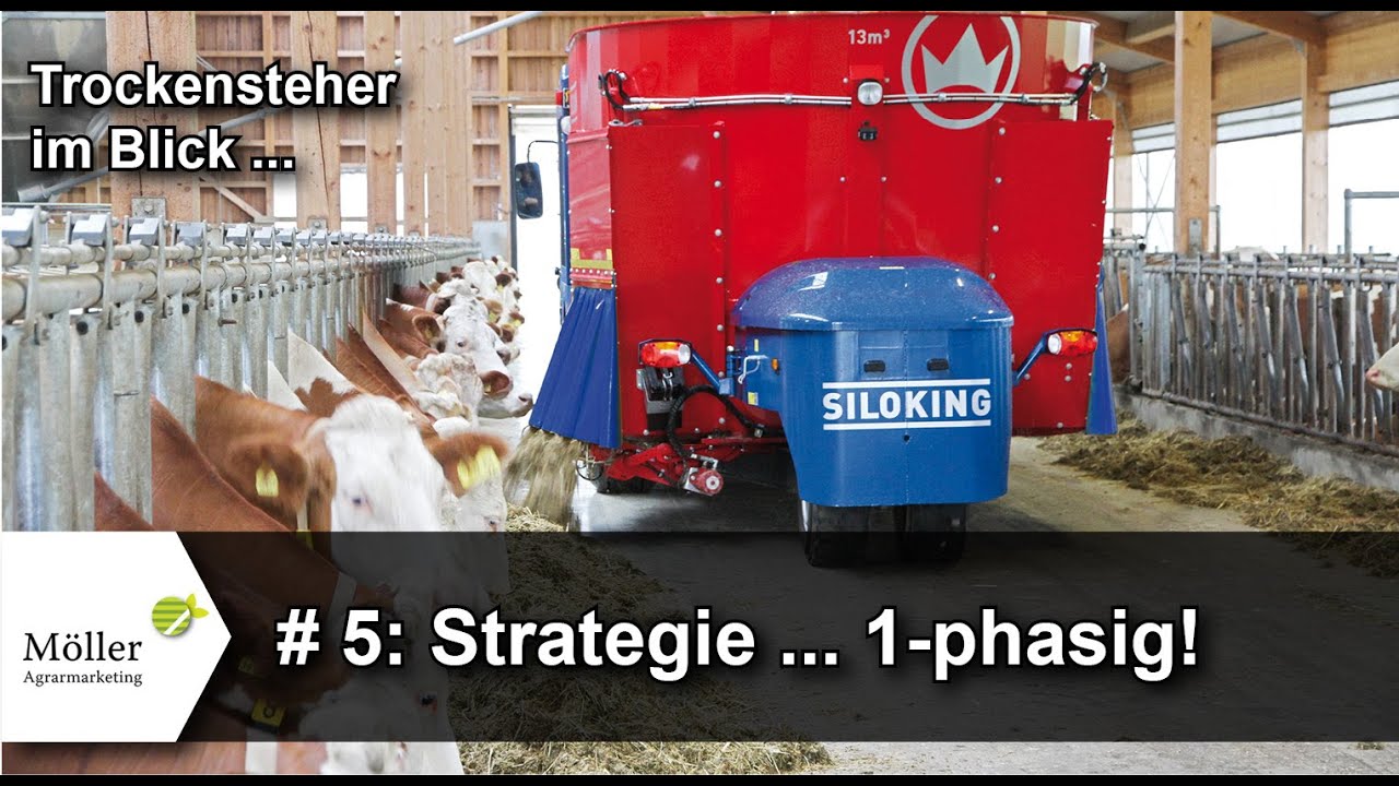 Trockensteher richtig füttern #5 - So sieht die 1-phasige Trockensteherration aus | Teil 5 von 8