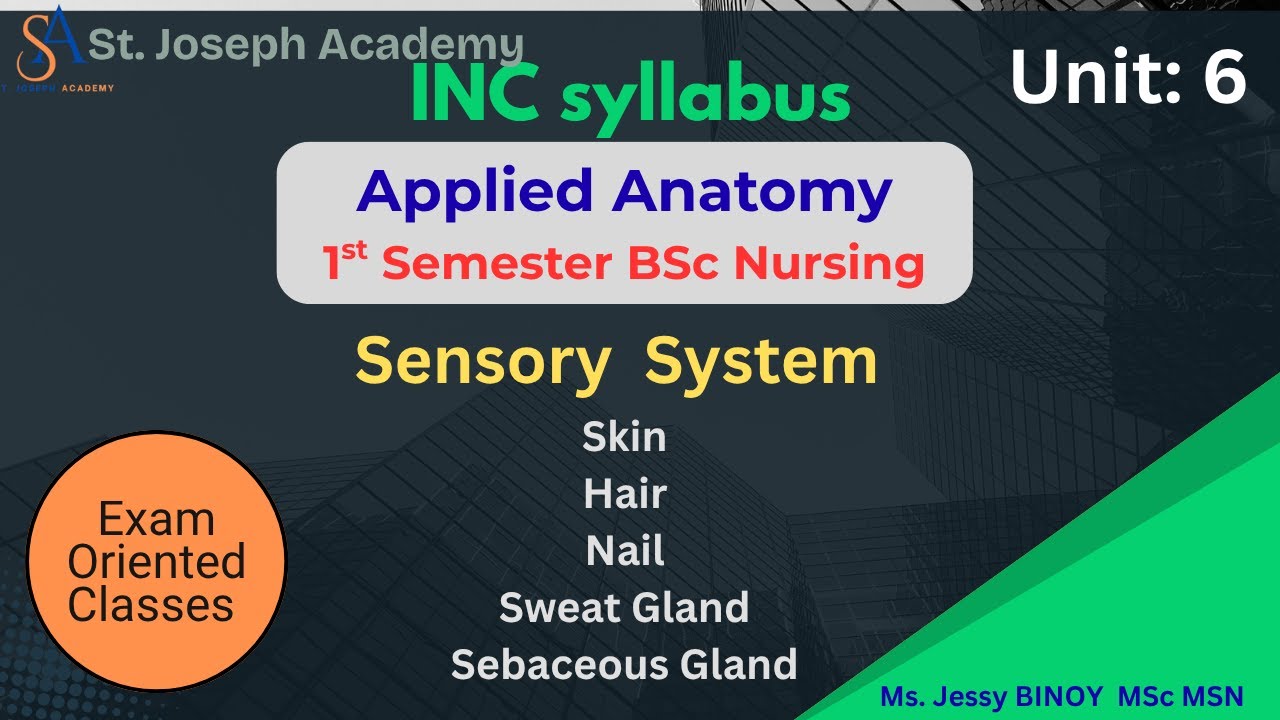 Anatomy Unit 6 | Sensory System & Skin Explained | BSc Nursing 1st Semester | Simple & Exam Focused
