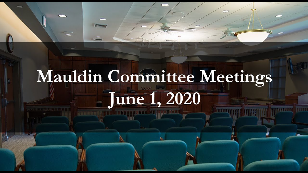 Mauldin Committee Meetings June 1, 2020