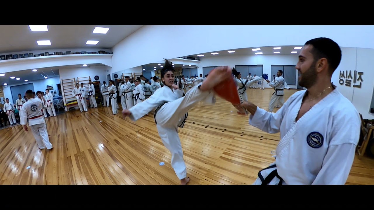 Cyprus Traditional Taekwon-do Federation - Seminar 2021