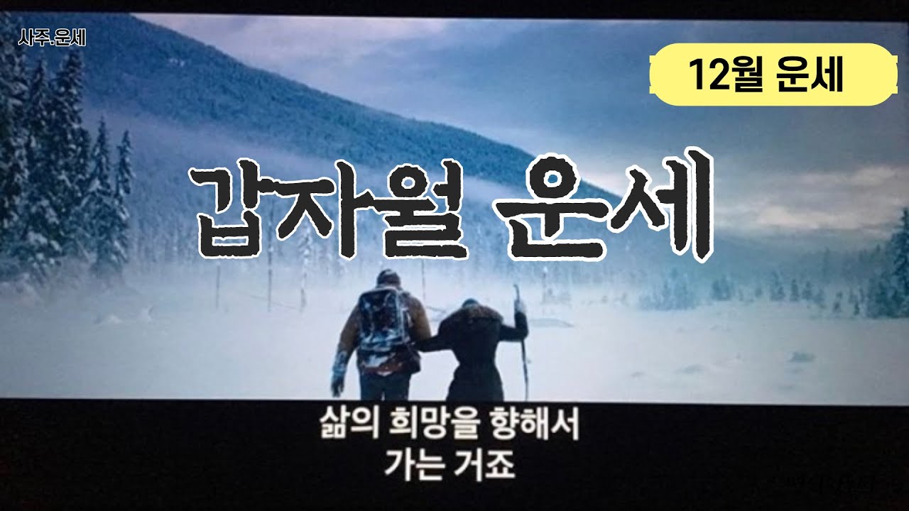 갑자월 12월 운세 - 자월/자수/갑자/자묘형/계묘년 갑자월