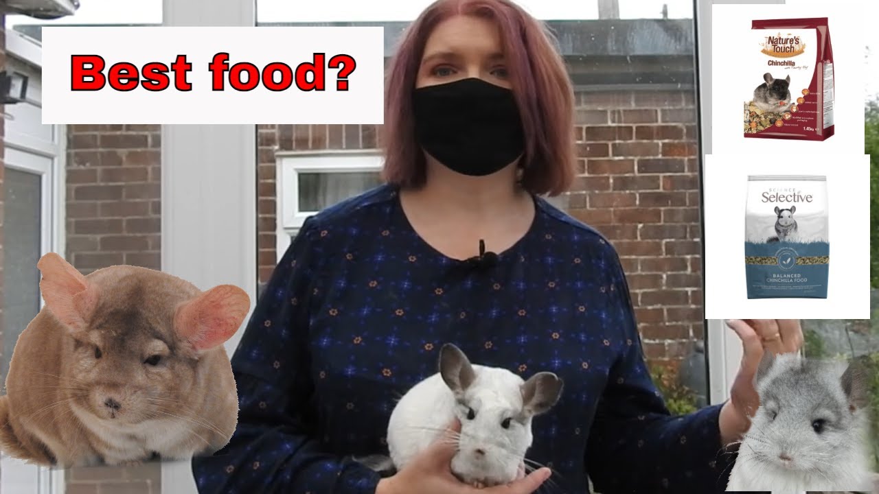 Best chinchilla food?