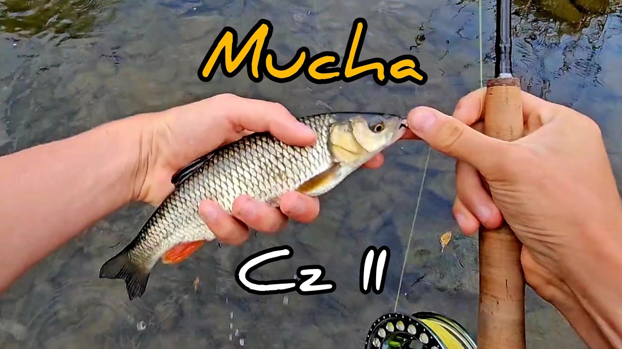 Znalazłem lipienie❓️| muchówka na górskiej rzece #2|🎣🔥